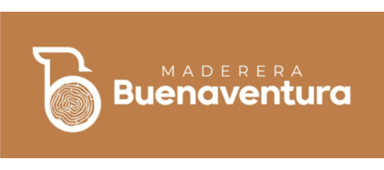 Cliente 6